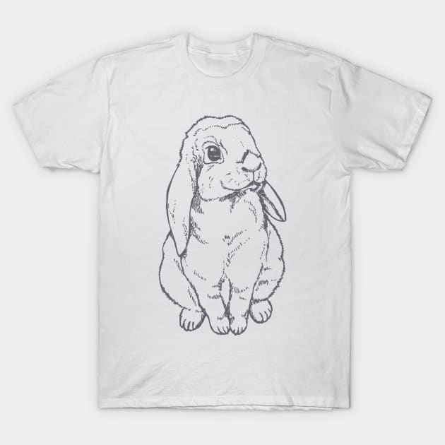 Holland Lop Bunny Shirt, Easter Shirt For Boy, Easter Shirt For Women, Easter Shirt, Gift Easter