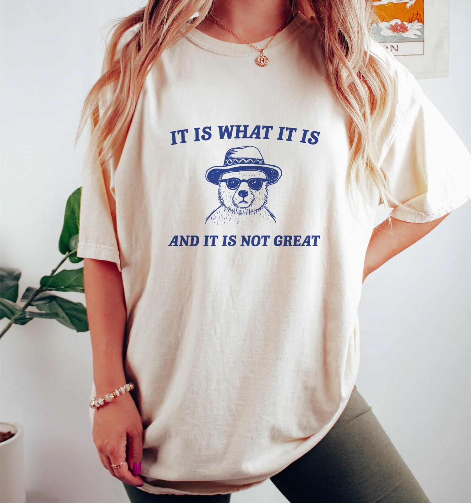 It Is What It Is And It Is Not Great - Cartoon Bear T Shirt Premium Tee, Classic Style T-Shirt